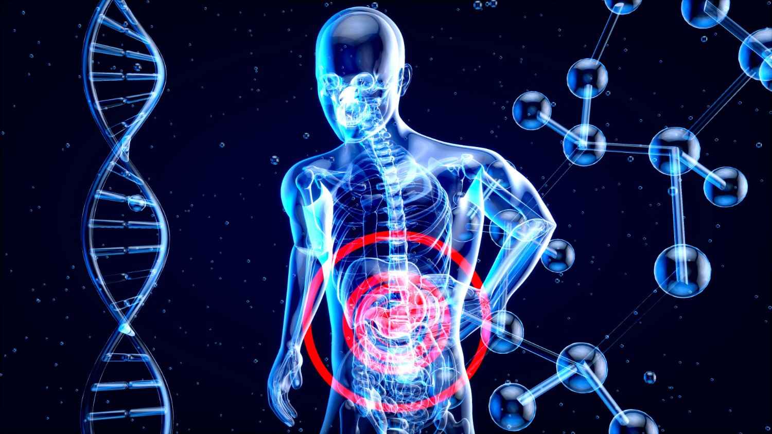 alflorex for ibs probiotic capsules